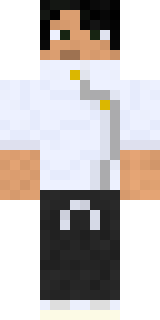 Скин Майнкрафт Игрока 123birds