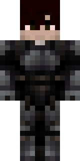 Скин Майнкрафт Игрока ArcticBonn