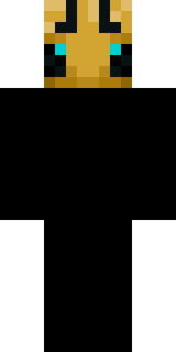 Скин Майнкрафт Игрока BEE_B33