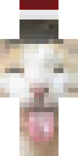 Скин Майнкрафт Игрока BeBrEk