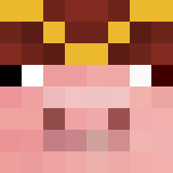 Игрок BgBro_ Майнкрафт - возможно знакомый с BrownnieMC