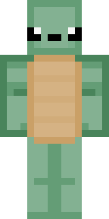 Скин Майнкрафт Игрока BlitzTurtle