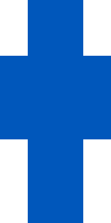 Скин Майнкрафт Игрока BlueScienceFox