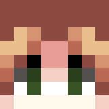 Игрок Borgen Майнкрафт - возможно знакомый с BarrelStar95432