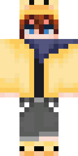Скин Майнкрафт Игрока Bricks2J