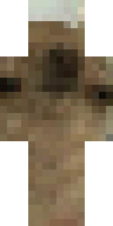 Скин Майнкрафт Игрока Bungel11