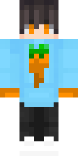 Скин Майнкрафт Игрока CarrotxSD