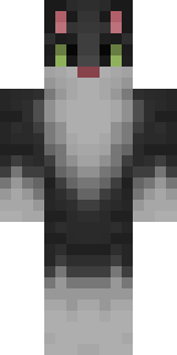 Скин Майнкрафт Игрока CoreCore