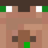 Игрок DumbVillagers Майнкрафт - возможно знакомый с Kerze6263