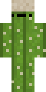 Скин Майнкрафт Игрока Egorik11kill