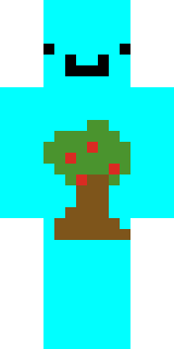 Скин Майнкрафт Игрока ElictraYT