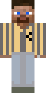 Скин Майнкрафт Игрока Erdela
