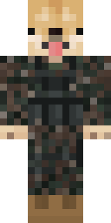 Скин Майнкрафт Игрока Erling1234