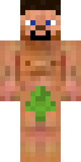 Скин Майнкрафт Игрока Fer