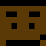 Игрок Fiz Майнкрафт - возможно знакомый с VoidStealer