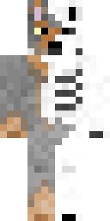 Скин Майнкрафт Игрока FruitloopsMC