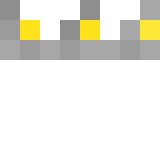 Игрок Hero Майнкрафт - возможно знакомый с NOT_SALMAN