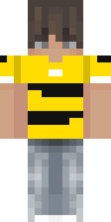 Скин Майнкрафт Игрока Hmoose225
