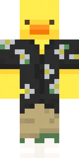 Скин Майнкрафт Игрока ItsMeRobi_