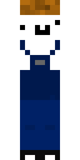 Скин Майнкрафт Игрока J1rsa_cz