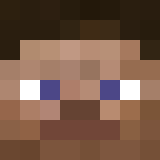 KiWi382