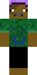 Скин Майнкрафт Игрока Leevoii