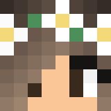 Игрок LiteLinkess Майнкрафт - возможно знакомый с El_Zorro_