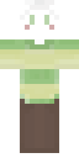 Скин Майнкрафт Игрока Medovou