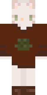 Скин Майнкрафт Игрока Merrllama30