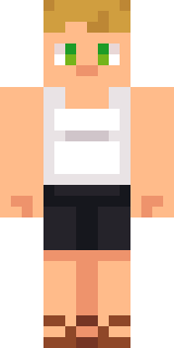 Скин Майнкрафт Игрока Mr_Processor