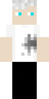 Скин Майнкрафт Игрока NamedCamera2489