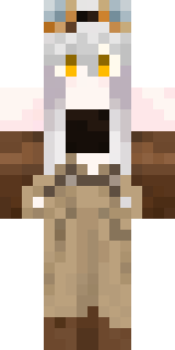 Скин Майнкрафт Игрока NewJersey_