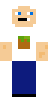 Скин Майнкрафт Игрока ORT_Vipezz
