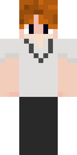 Скин Майнкрафт Игрока PWAIDS