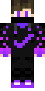 Скин Майнкрафт Игрока Paladina