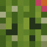 Игрок PioneerU Майнкрафт - возможно знакомый с EnjaThanous