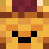 PleerMC