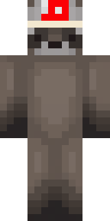 Скин Майнкрафт Игрока Raaccoon