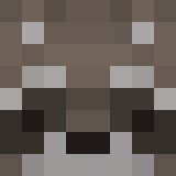 Игрок RacoonNation Майнкрафт - возможно знакомый с _NameLocket06