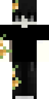 Скин Майнкрафт Игрока Ramsterss