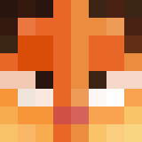 Игрок Ririaa Майнкрафт - возможно знакомый с ProhibitMC