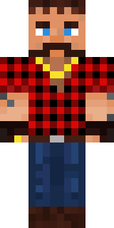 Скин Майнкрафт Игрока Robzko23