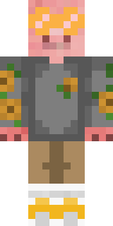 Скин Майнкрафт Игрока Seththebugdonut