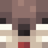 Игрок Steele505 Майнкрафт - возможно знакомый с SwagTobz