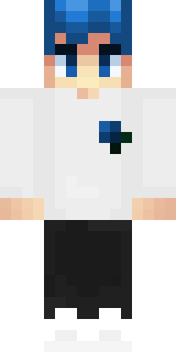 Скин Майнкрафт Игрока StqrPrincess