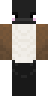 Скин Майнкрафт Игрока TEHBIGGESTBIRB