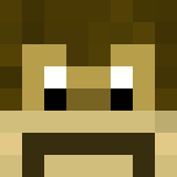 TheRealErfan