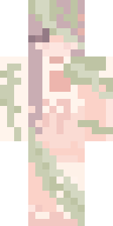 Скин Майнкрафт Игрока The_Mr