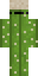 Скин Майнкрафт Игрока TonkaTat