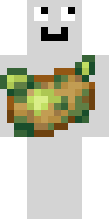 Скин Майнкрафт Игрока TurtleBoy2314